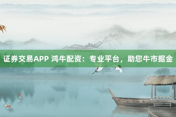 证券交易APP 鸿牛配资：专业平台，助您牛市掘金