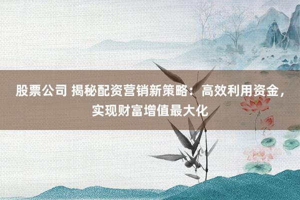 股票公司 揭秘配资营销新策略：高效利用资金，实现财富增值最大化