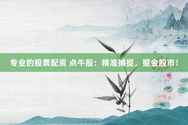 专业的股票配资 点牛股:精准捕捉,掘金股市!