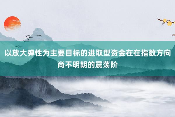 以放大弹性为主要目标的进取型资金在在指数方向尚不明朗的震荡阶