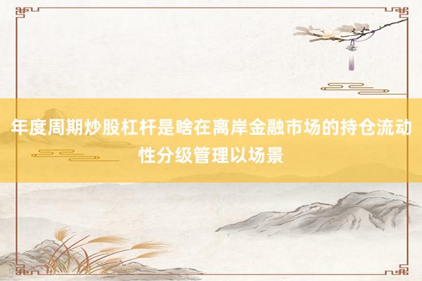 年度周期炒股杠杆是啥在离岸金融市场的持仓流动性分级管理以场景