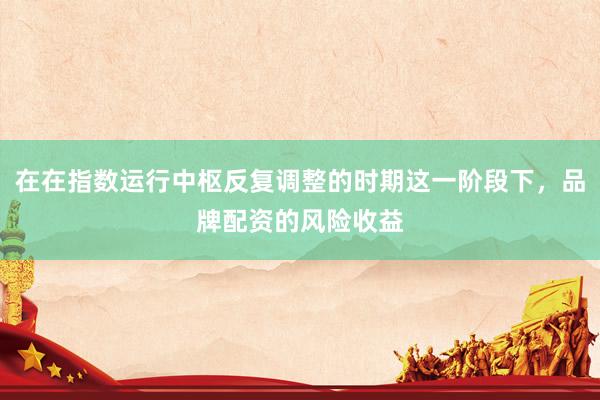 在在指数运行中枢反复调整的时期这一阶段下，品牌配资的风险收益