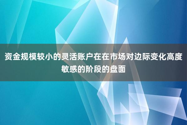 资金规模较小的灵活账户在在市场对边际变化高度敏感的阶段的盘面