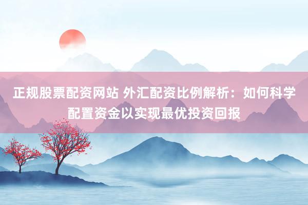 正规股票配资网站 外汇配资比例解析：如何科学配置资金以实现最优投资回报